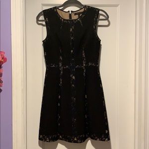 BCBG black lace dress